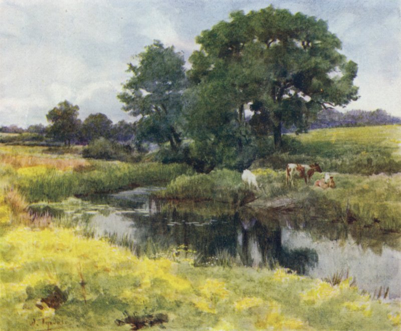Yeni Orman: Lymington Nehri üzerinde (renkli taş) by Walter Frederick Roofe Tyndale
