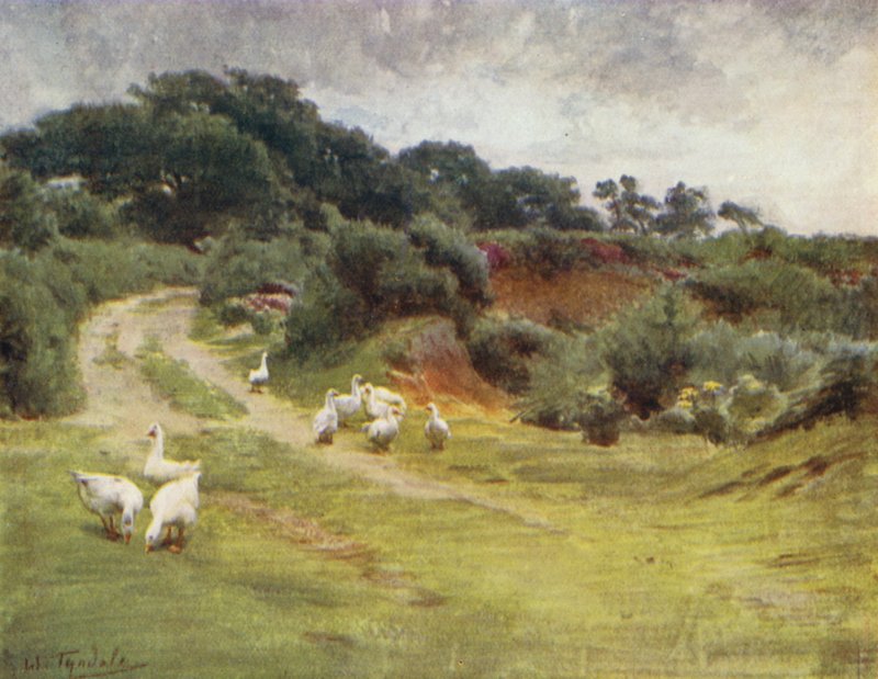 Yeni Orman: Royden Common, Brokenhurst yakınlarında (renkli taş) by Walter Frederick Roofe Tyndale