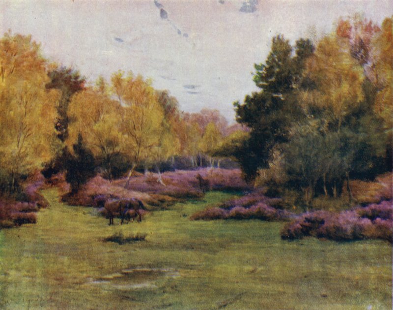 Yeni Orman: Rushpole Wood, Lyndhurst (renkli taş) by Walter Frederick Roofe Tyndale