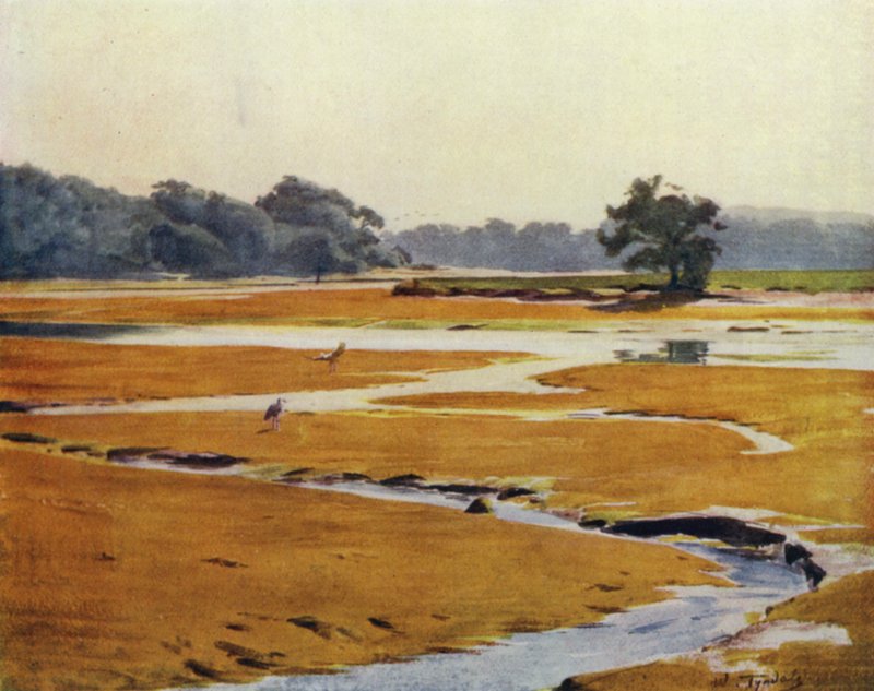 Yeni Orman: Beaulieu Nehri (renkli taş) by Walter Frederick Roofe Tyndale