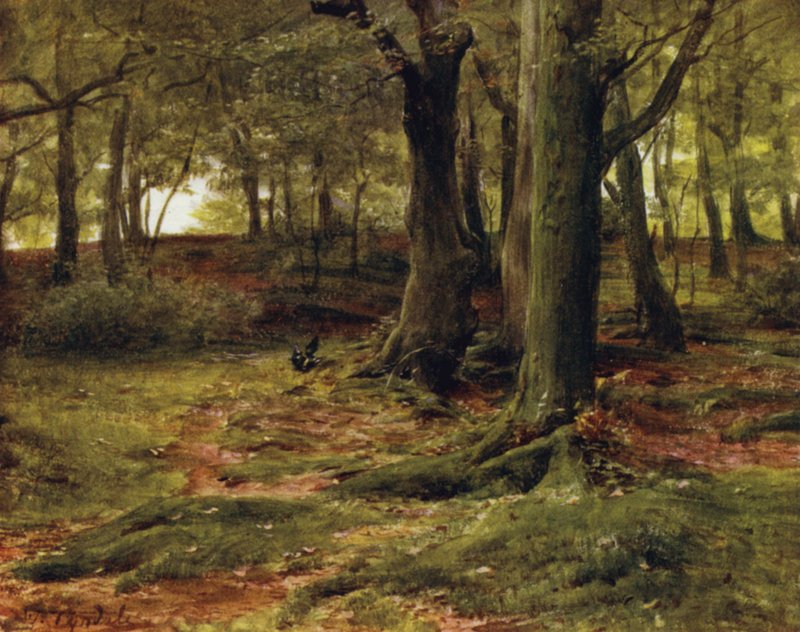Yeni Orman: The Hill Woods, Lyndhurst (renkli taş) by Walter Frederick Roofe Tyndale