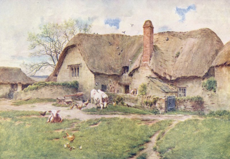  by Walter Frederick Roofe Tyndale