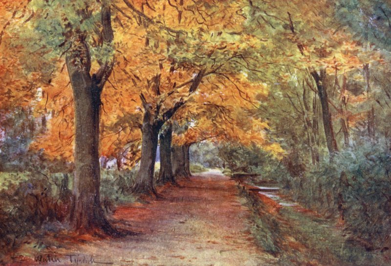  by Walter Frederick Roofe Tyndale