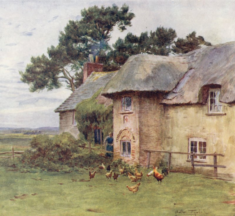  by Walter Frederick Roofe Tyndale