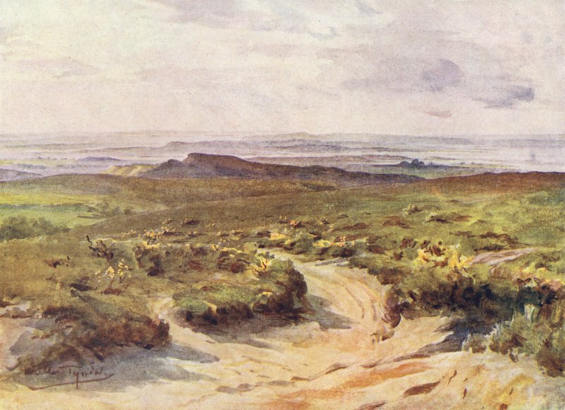  by Walter Frederick Roofe Tyndale