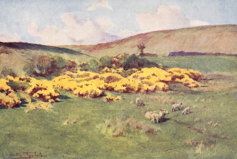  by Walter Frederick Roofe Tyndale