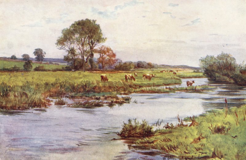  by Walter Frederick Roofe Tyndale