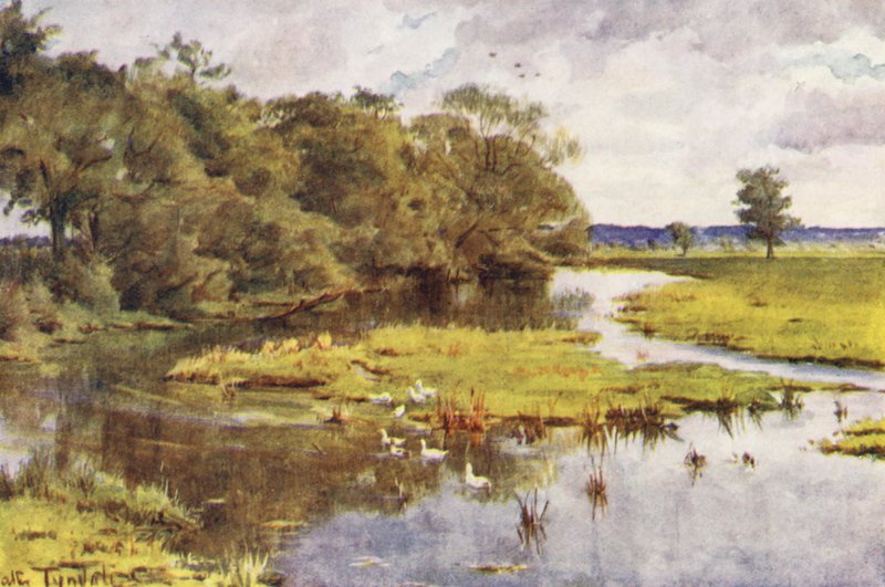  by Walter Frederick Roofe Tyndale