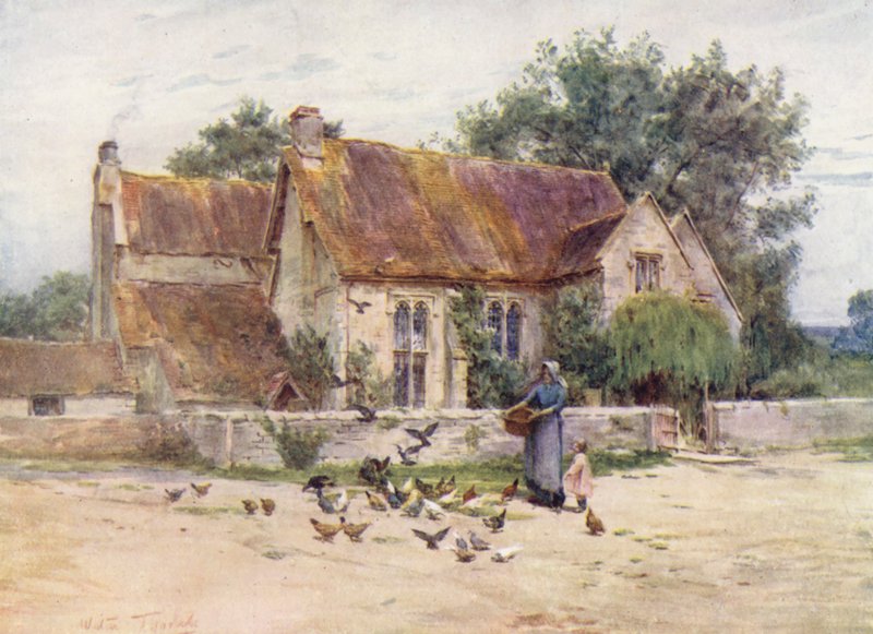 Wessex: Mere yakınlarındaki ormanlık alan, Wilts (renkli lito) by Walter Frederick Roofe Tyndale