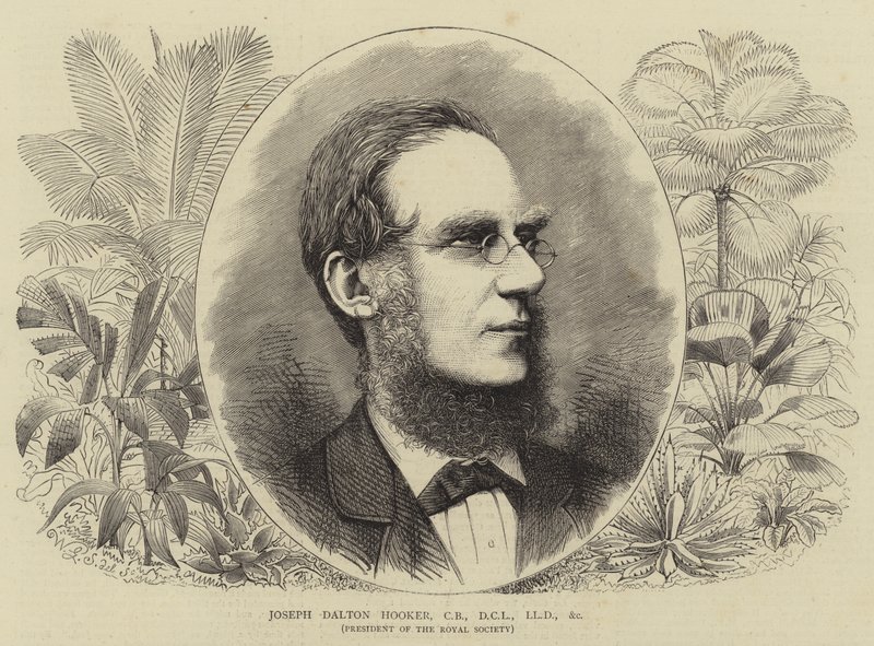 Joseph Dalton Hooker, CB, DCL, LLD, vb. by Walter Granville Smith