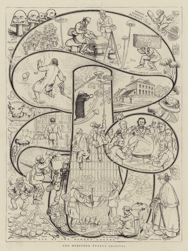 Hereford Mantar Festivali by Walter Granville Smith