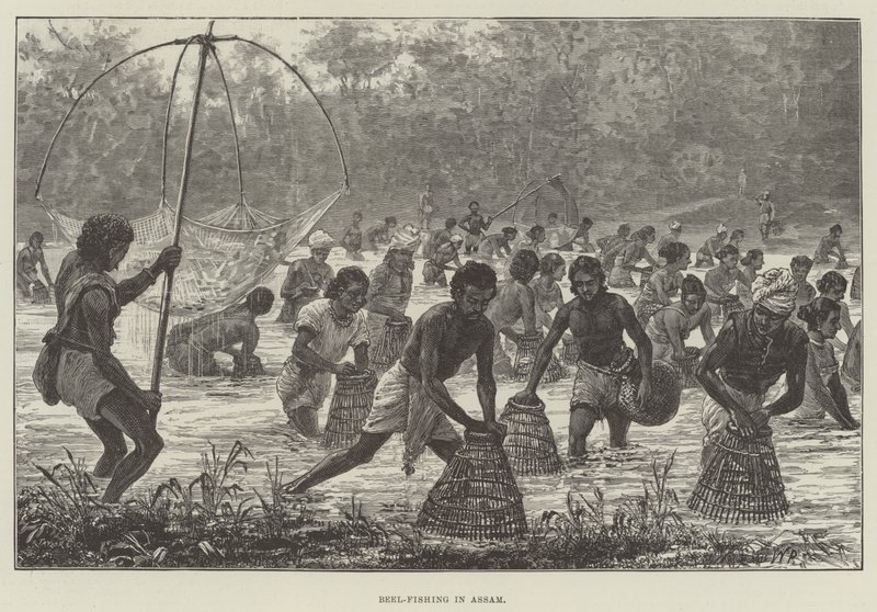 Assam'da Arı Balıkçılığı by Walter Paget