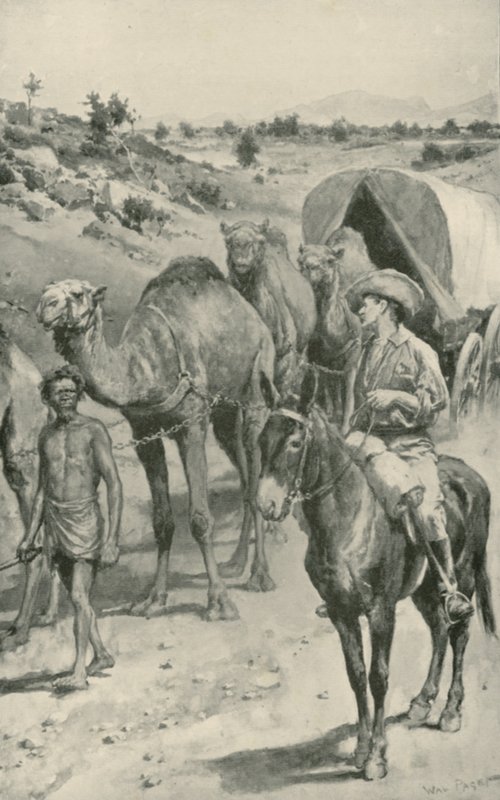 Bir Camel-Caravan, Batı Avustralya by Walter Stanley Paget