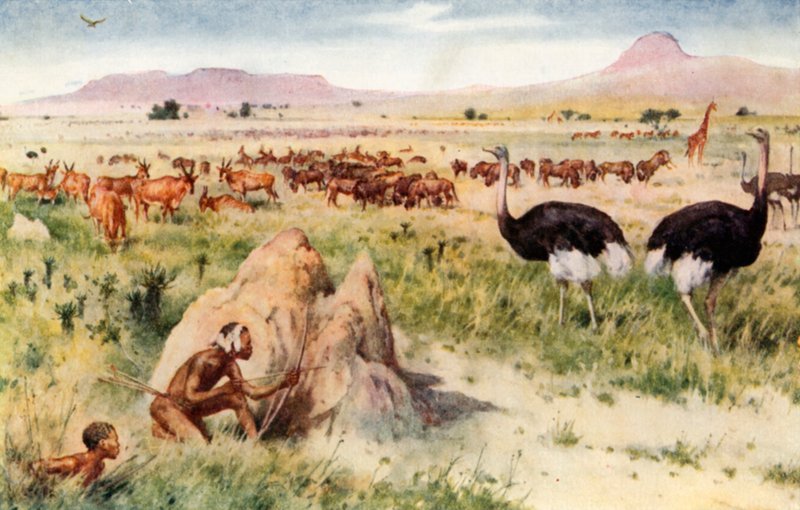 Bir Güney Afrika Ovası: Beyaz Adamın Gelmesinden Önce by Walter Stanley Paget