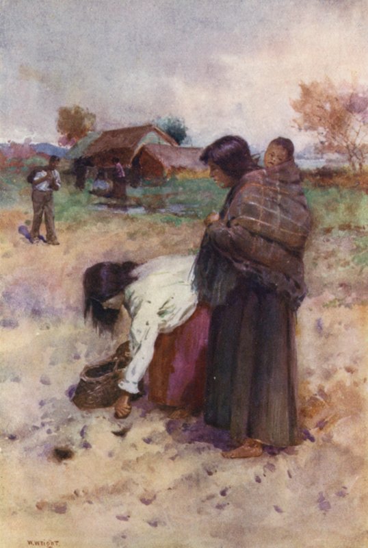  by Walter Wright