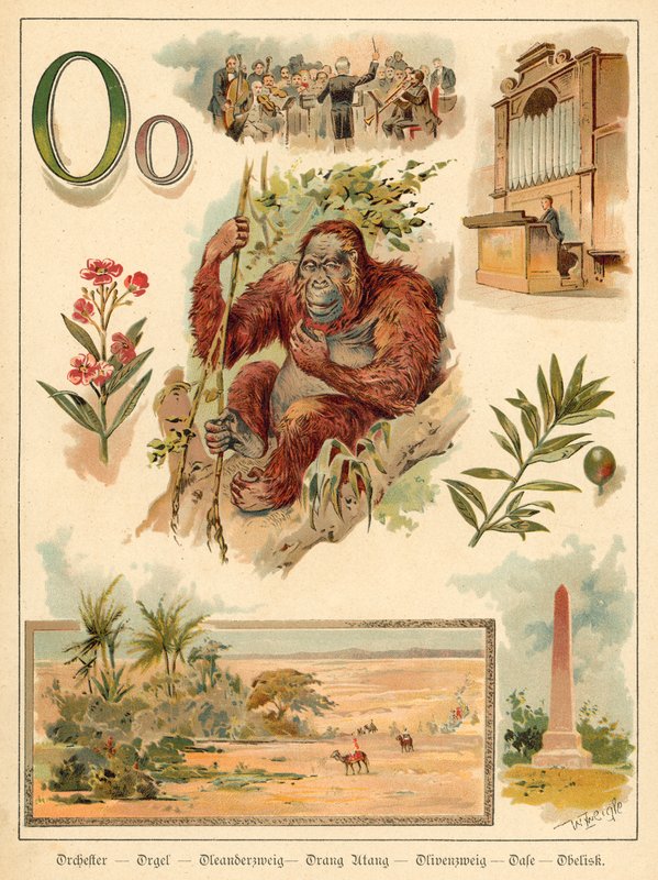O harfi (kromolitho) by Walter Zweigle