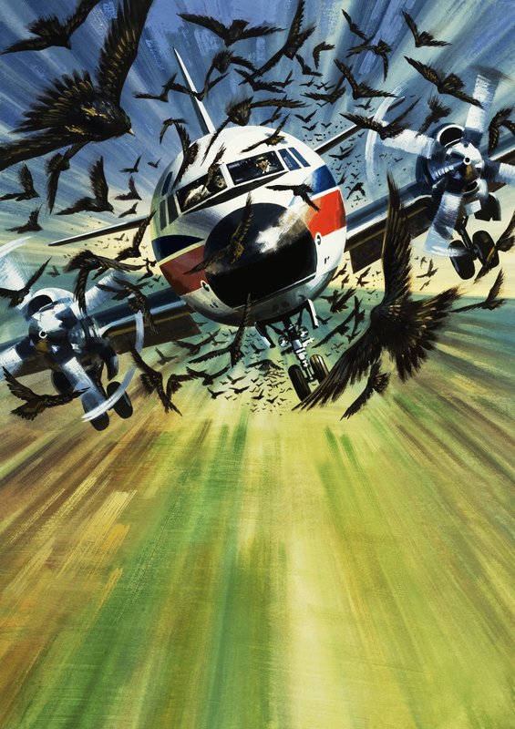  by Wilf (20th century) Hardy
