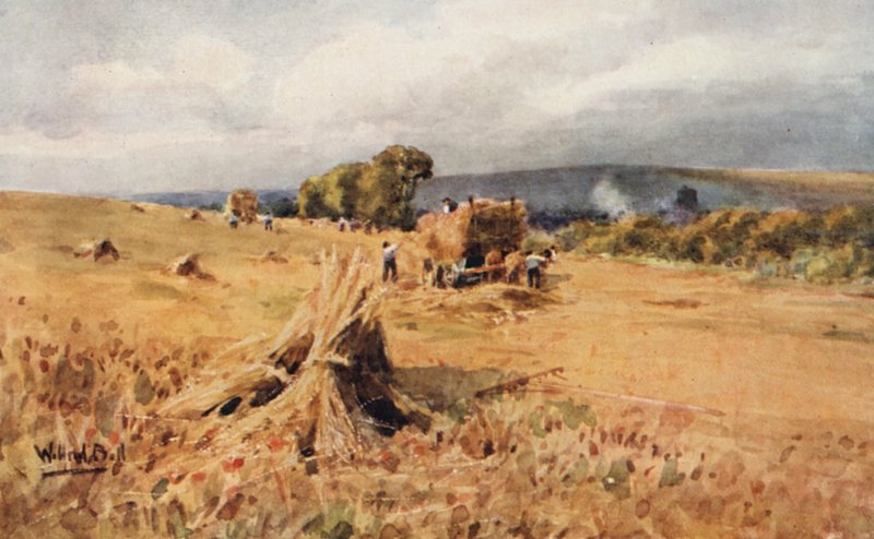  by Wilfrid Williams Ball