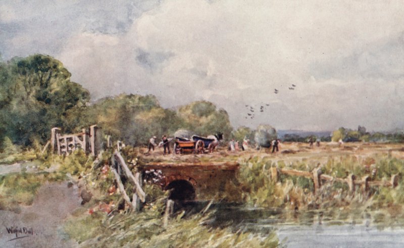  by Wilfrid Williams Ball