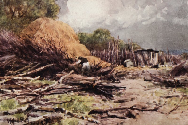  by Wilfrid Williams Ball