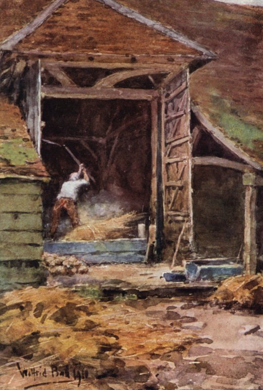  by Wilfrid Williams Ball
