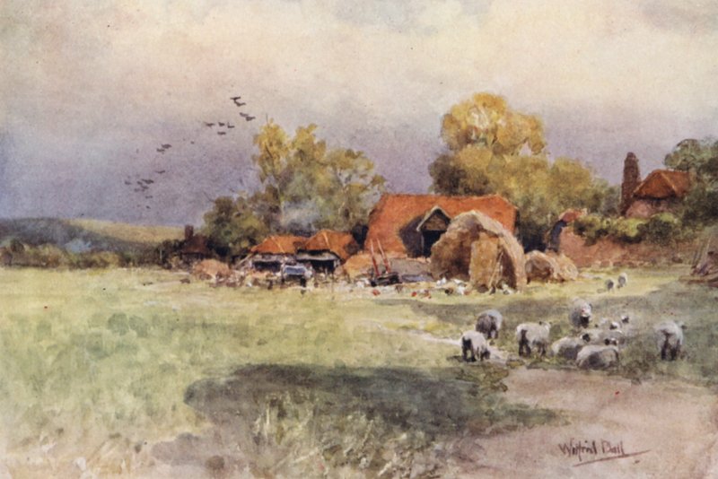  by Wilfrid Williams Ball