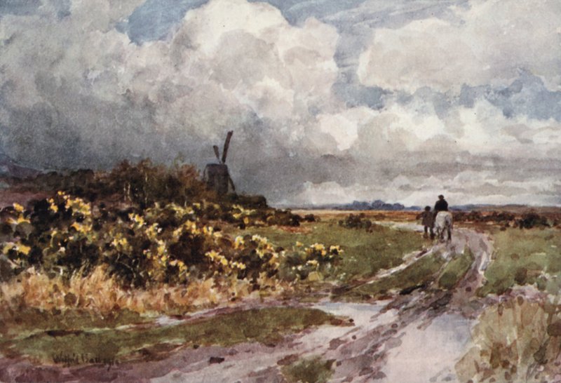  by Wilfrid Williams Ball