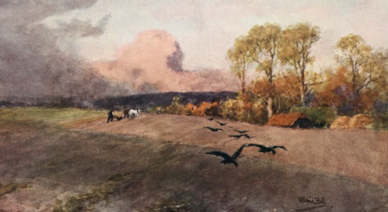  by Wilfrid Williams Ball