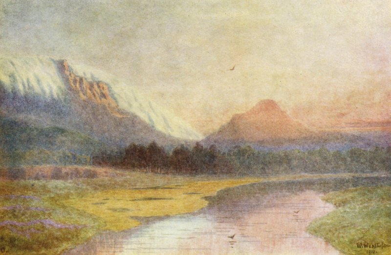  by Wilhelm Westhofen