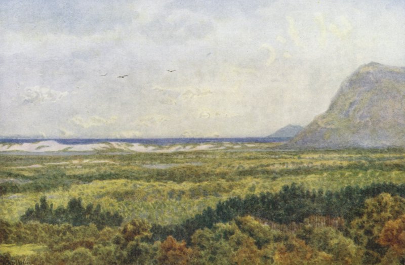  by Wilhelm Westhofen