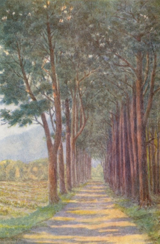  by Wilhelm Westhofen