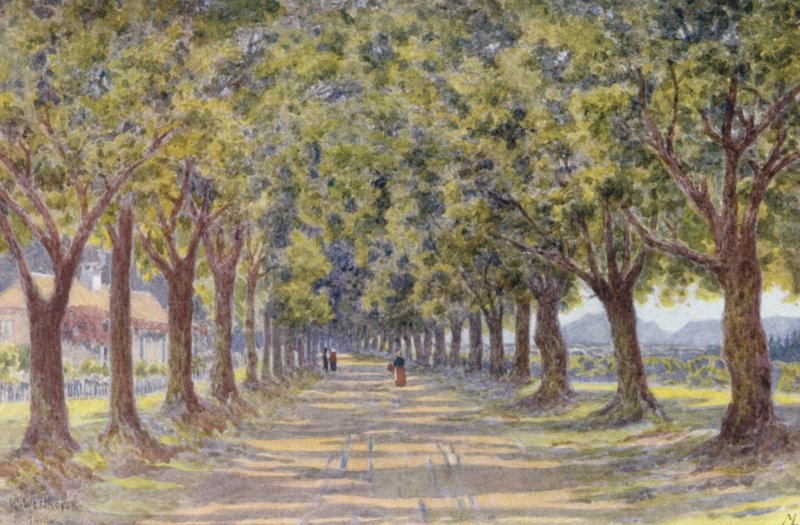 by Wilhelm Westhofen