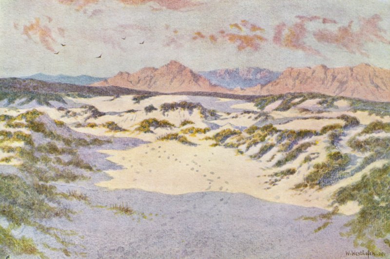  by Wilhelm Westhofen