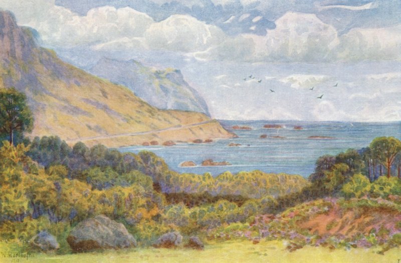 Victoria Yolu üzerinde, Oude Kraal yakınında (renkli litografi) by Wilhelm Westhofen
