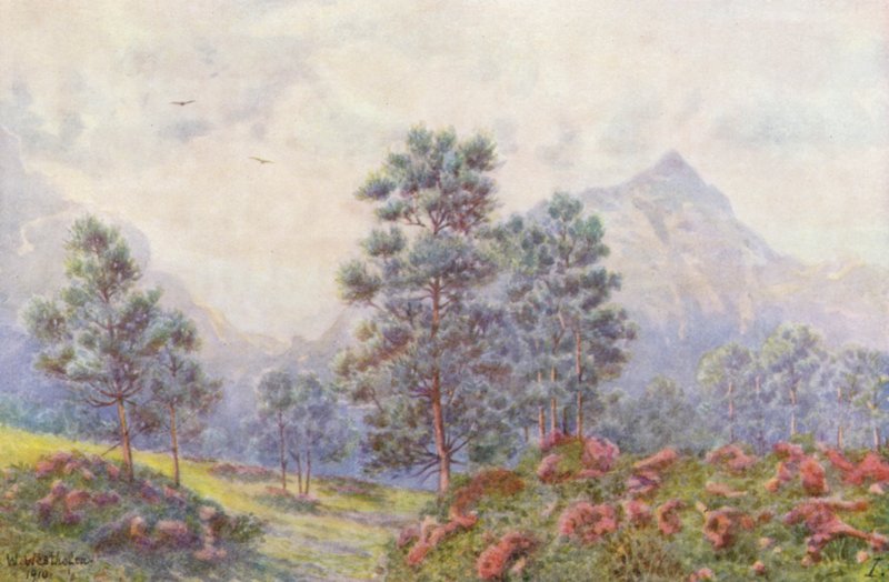  by Wilhelm Westhofen