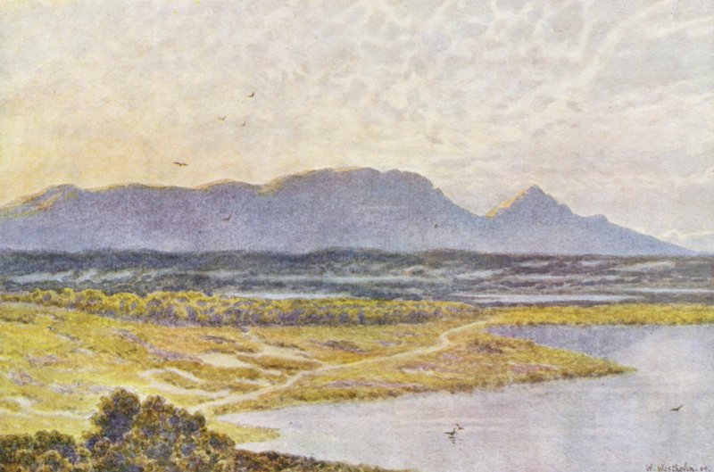  by Wilhelm Westhofen