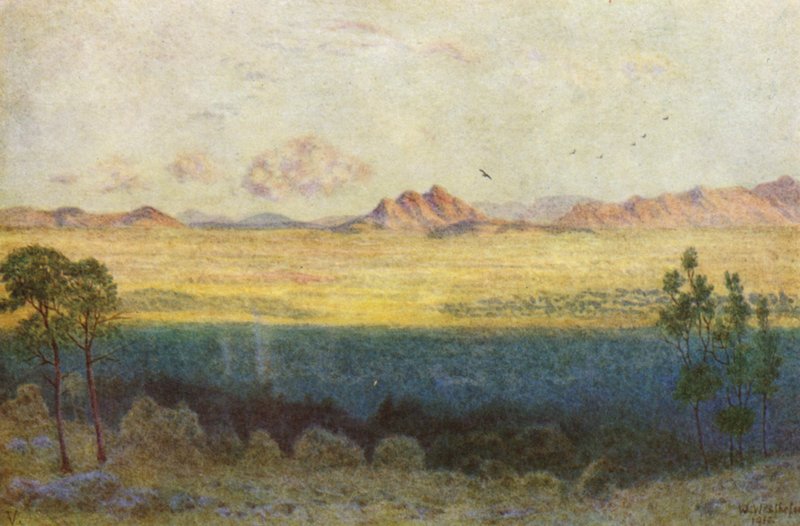  by Wilhelm Westhofen