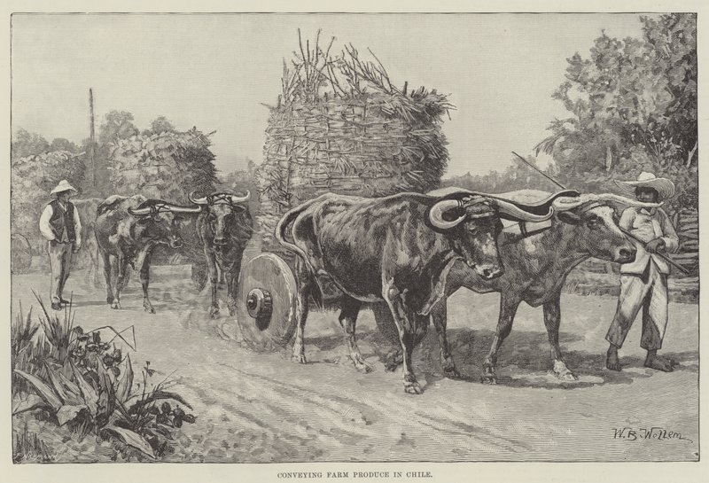 ಚಿಲಿ ಟರ್ಕಿಯಲ್ಲಿ ಕೃಷಿ ಉತ್ಪನ್ನವನ್ನು ರವಾನಿಸುವುದು by William Barnes Wollen