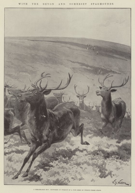 Devon ve Somerset Staghounds ile by William Barnes Wollen