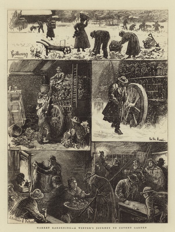 Pazar Bahçeciliği, Covent Garden