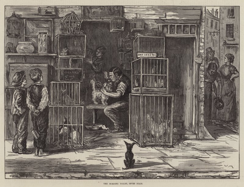 Sabah Tuvaleti, Yedi Kadran by William Bazett Murray
