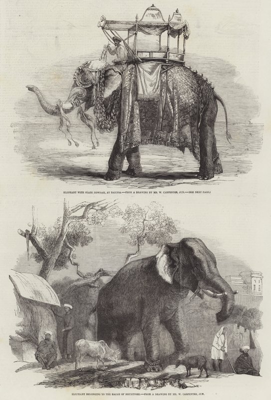 Hint Filleri by William Carpenter