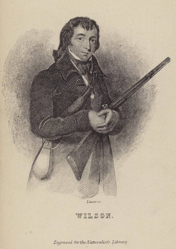 Alexander Wilson, İskoç kuşbilimci by William Home Lizars