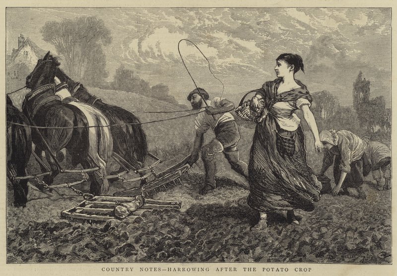 Patates Mahsulünden Sonra Üzülen Ülke Notları by William III Bromley