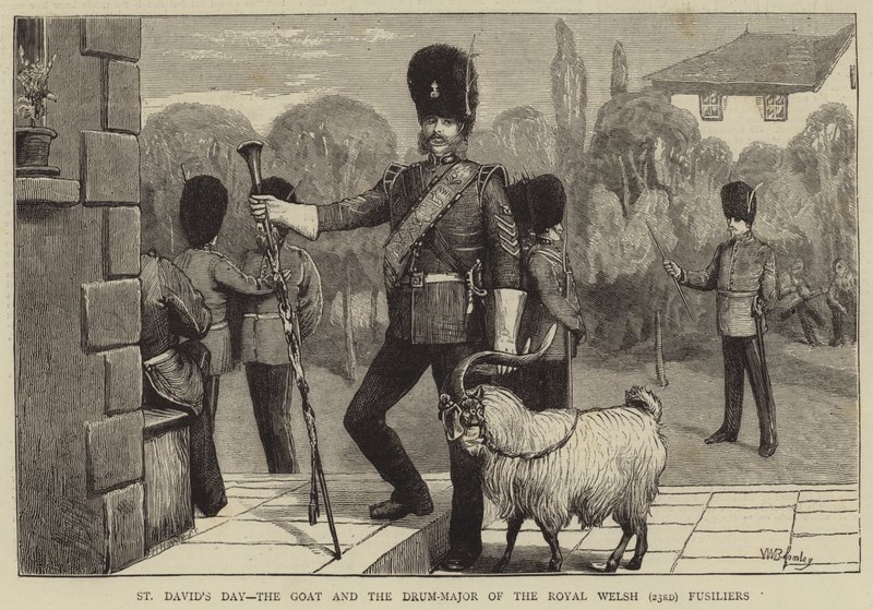Aziz David Günü, Keçi ve Kraliyet Galler (23.) Piyadelerinin Davul Binbaşısı by William III Bromley