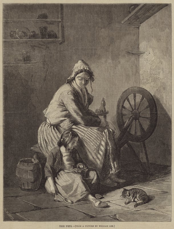 Evcil Hayvanlar by William Lee