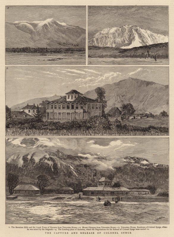 Albay Synge