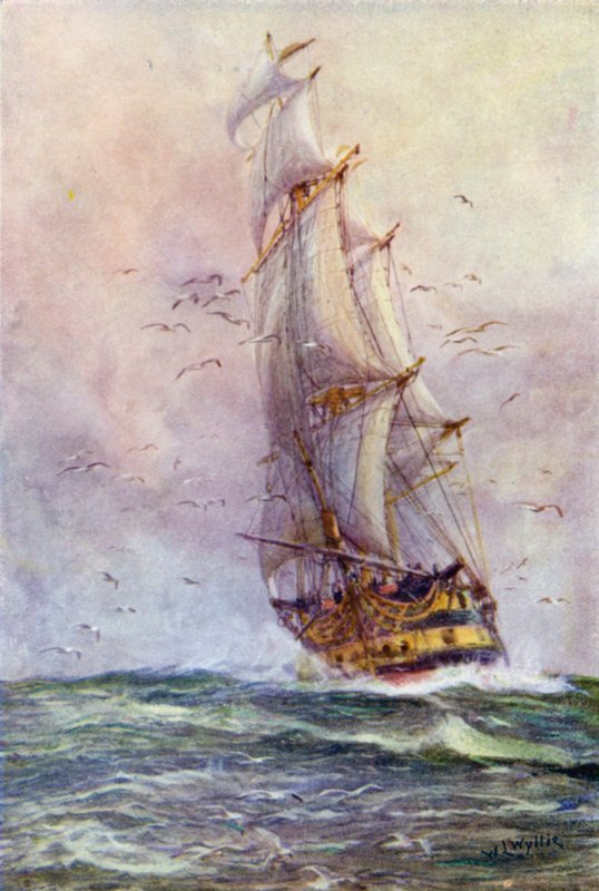 Foudroyant, Nelson