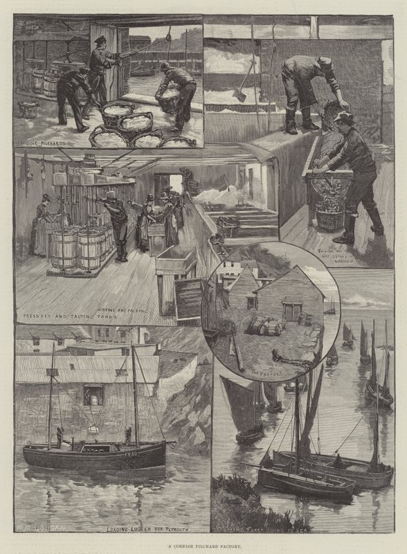 Cornish Pilchard Fabrikası by William Mouat Loudan