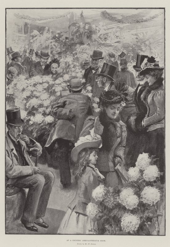 Bir Ülke Krizantem Gösterisinde by William Rainey
